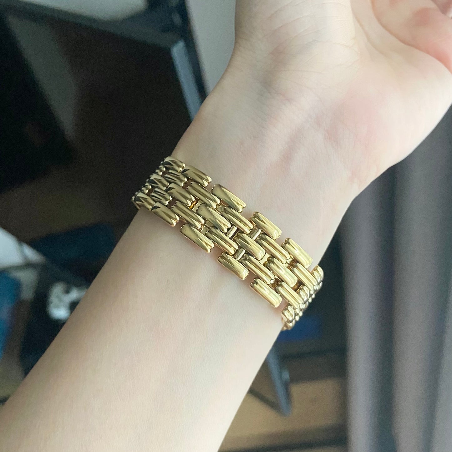 Christian Dior Bagheera Vintage