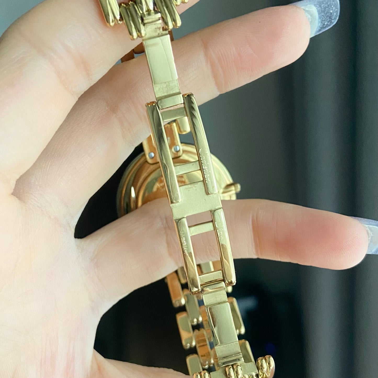 Christian Dior Bagheera Vintage