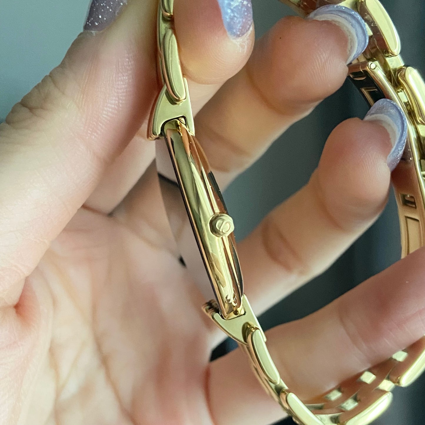 Christian Dior Bagheera Vintage