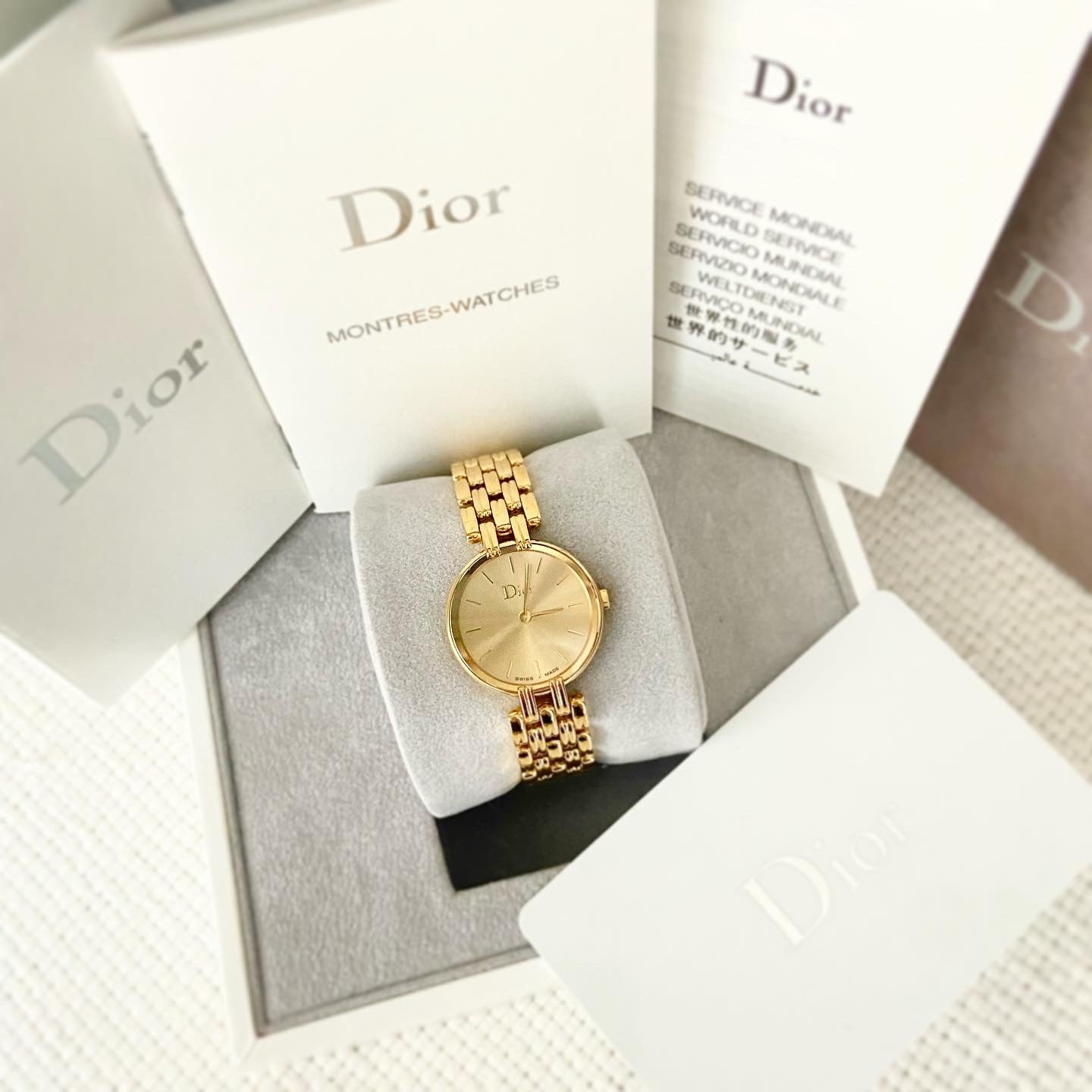 Christian Dior Bagheera