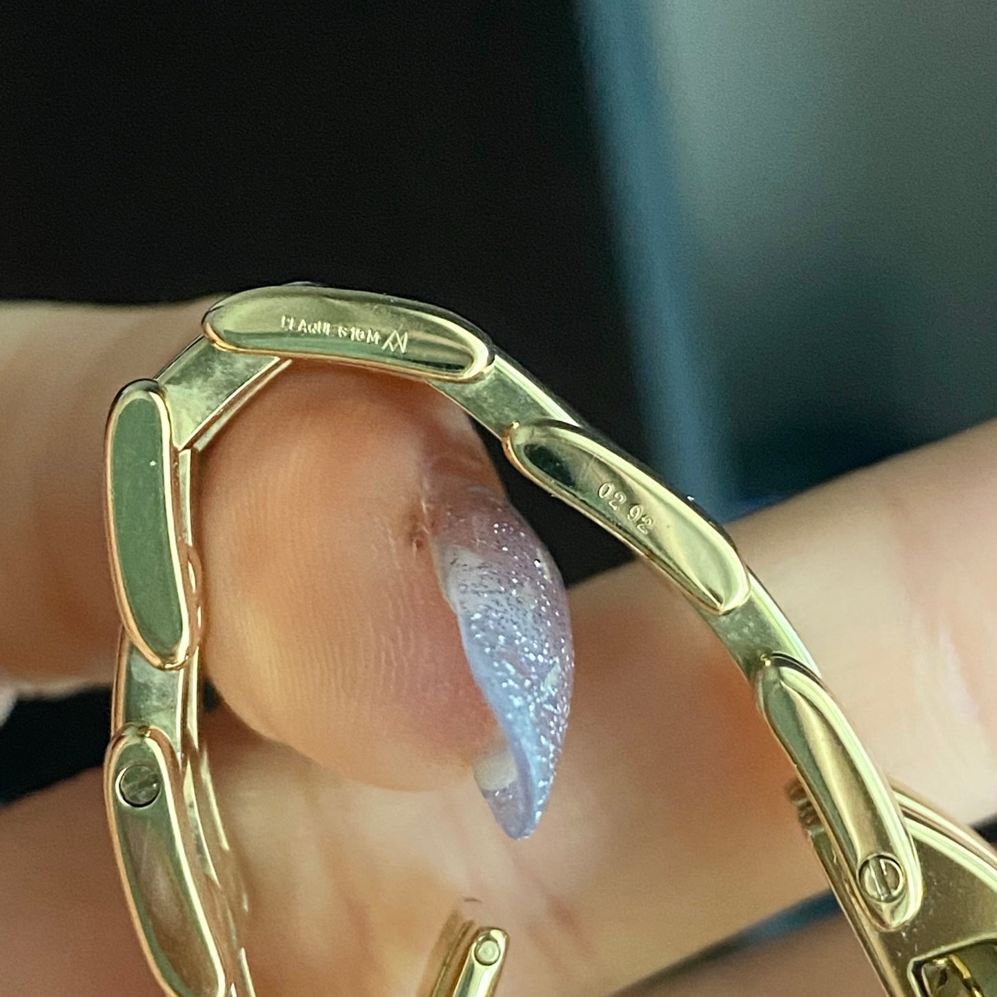 Christian Dior Bagheera Vintage