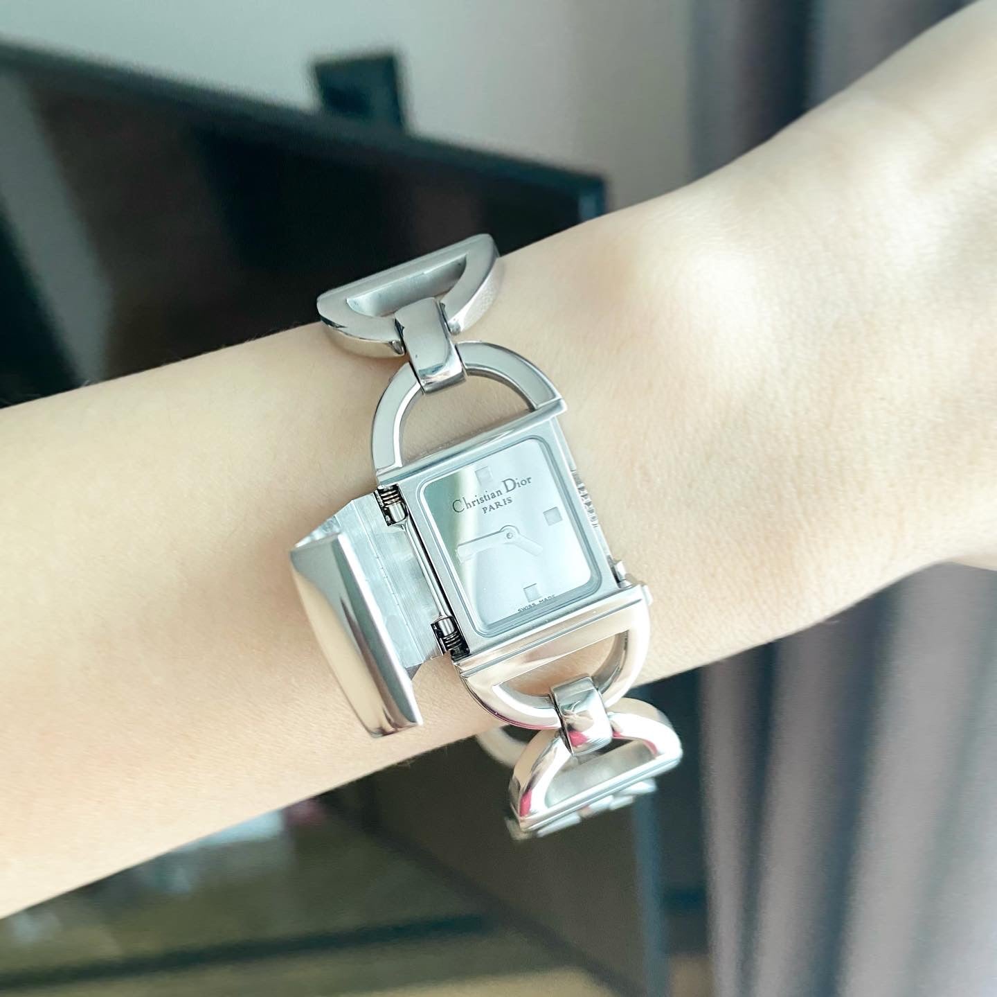 Christian Dior Pandiora